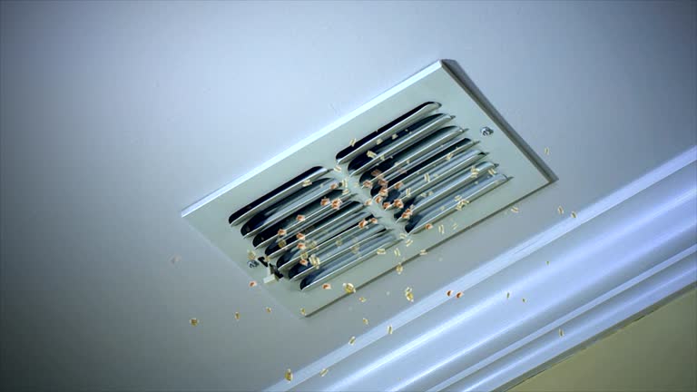 Best Air Duct Cleaning Near Me  in Nome, AK