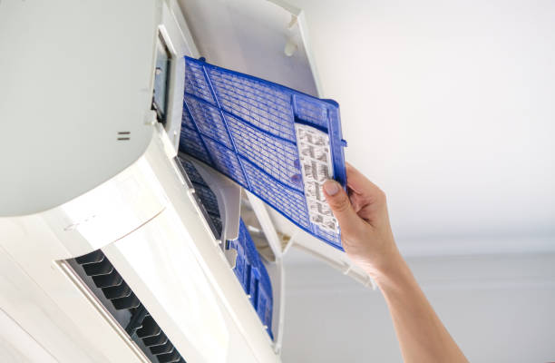 Air Duct Mold Removal in AK