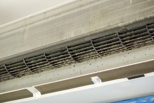 Best Home Air Vent Cleaning  in Nome, AK